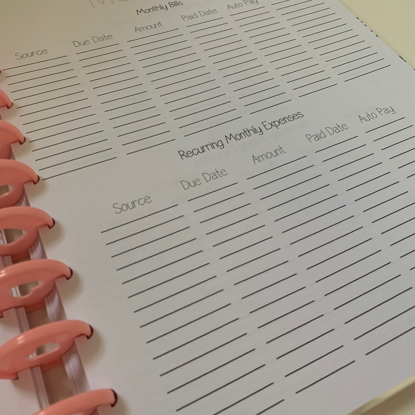 Minimalist Budget planner for Beginners| 12 Month Undated Discbound Budget Planner| expense tracker