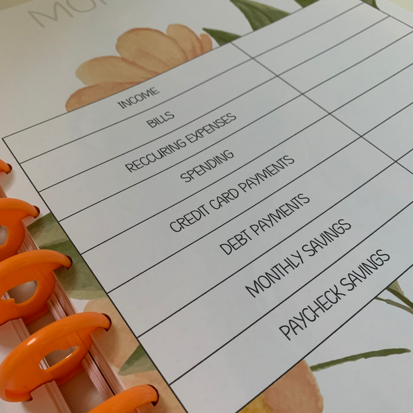 Sunkissed Love Budget Planner for Beginners| 12 Month Undated Discbound Budget Planner for Black Women