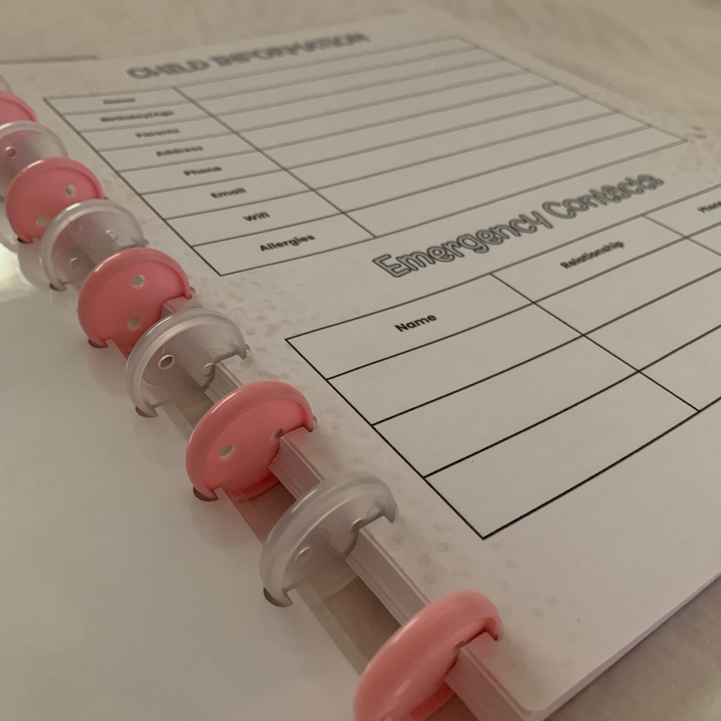 Childcare Logbook (white and pink discs)