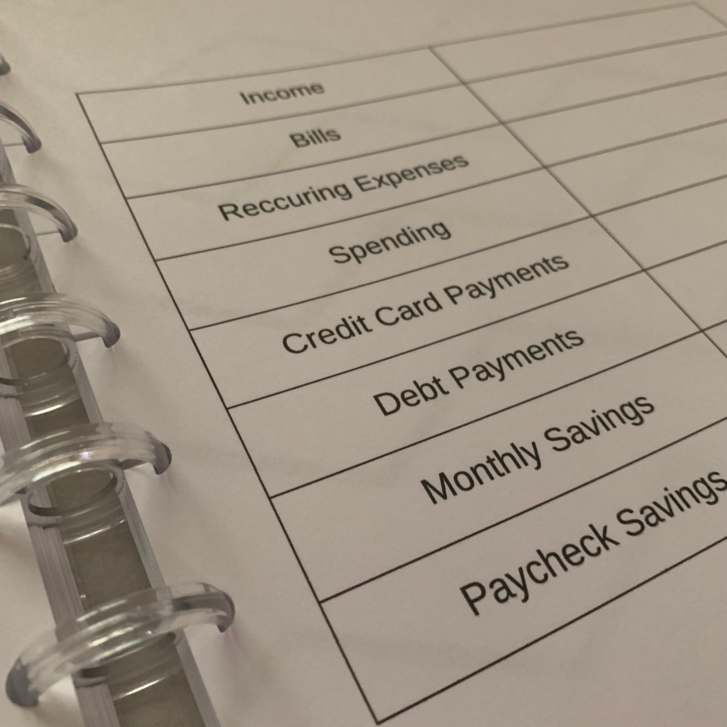 Men Budget Too Undated Six Month Budget Planner with Tabs| Budget planning for men (ZW)