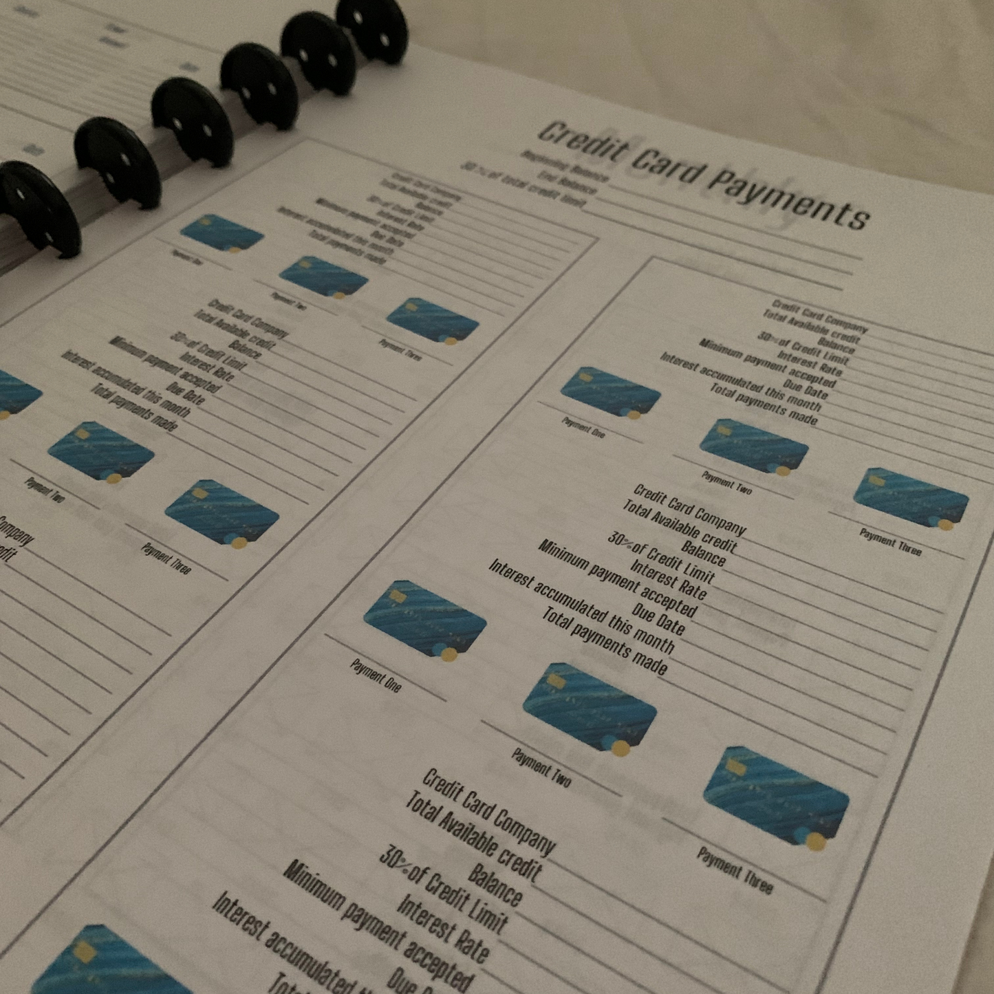 Men Budget Too Undated Six Month Budget Planner with laminated tabs (ZW)