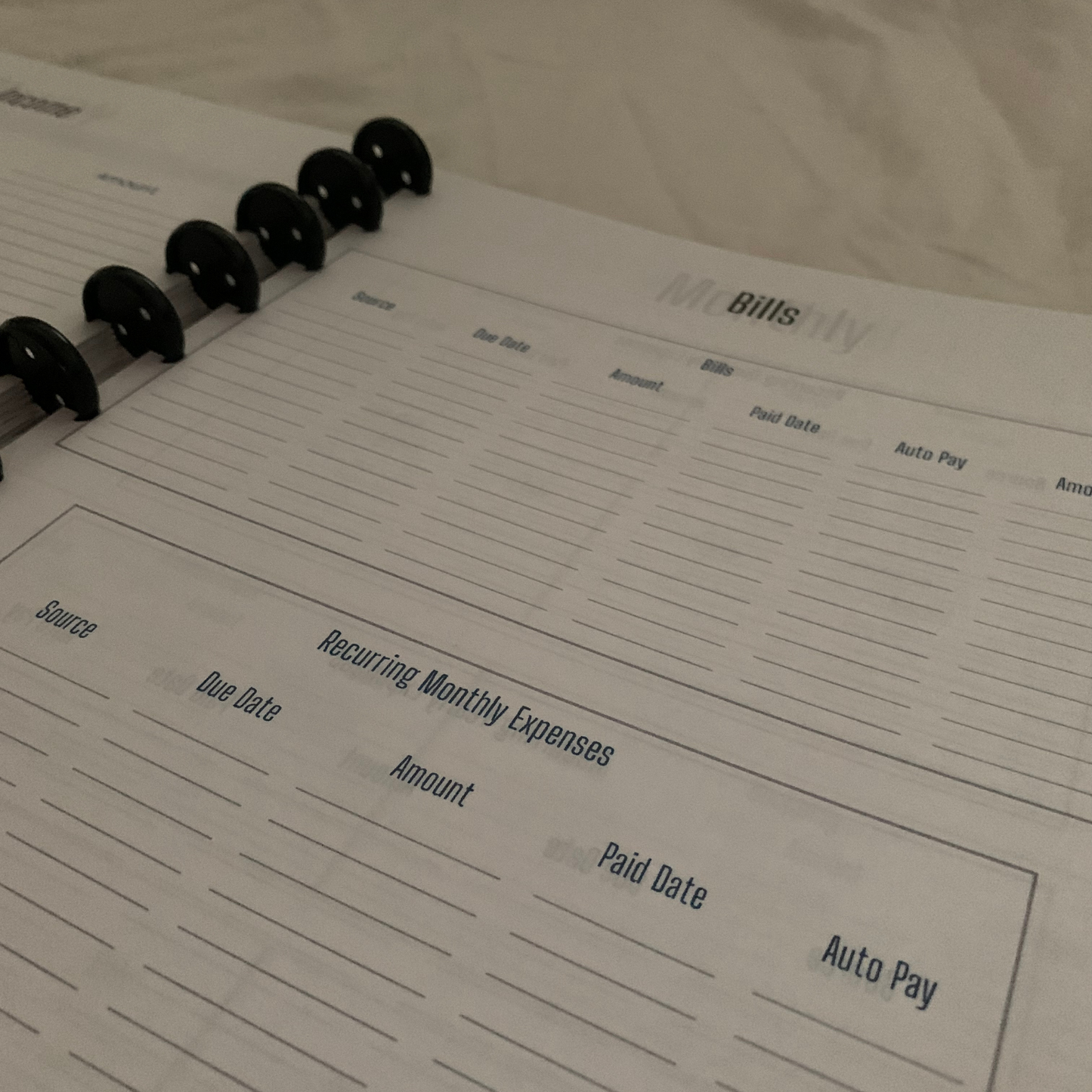 Men Budget Too Undated Six Month Budget Planner with laminated tabs (ZW)