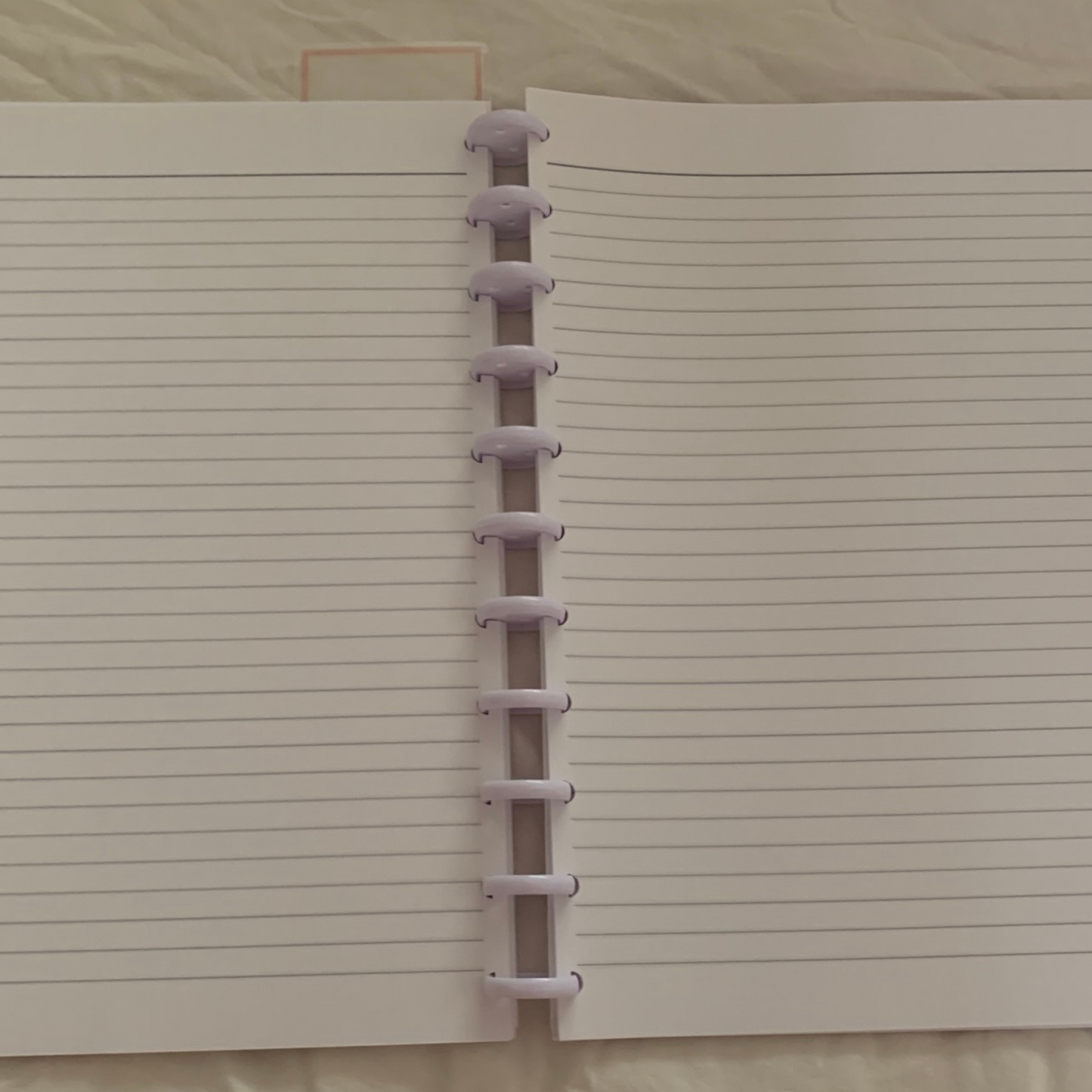 Whiskers and Love Journal | Discbound Lined Journal ZW