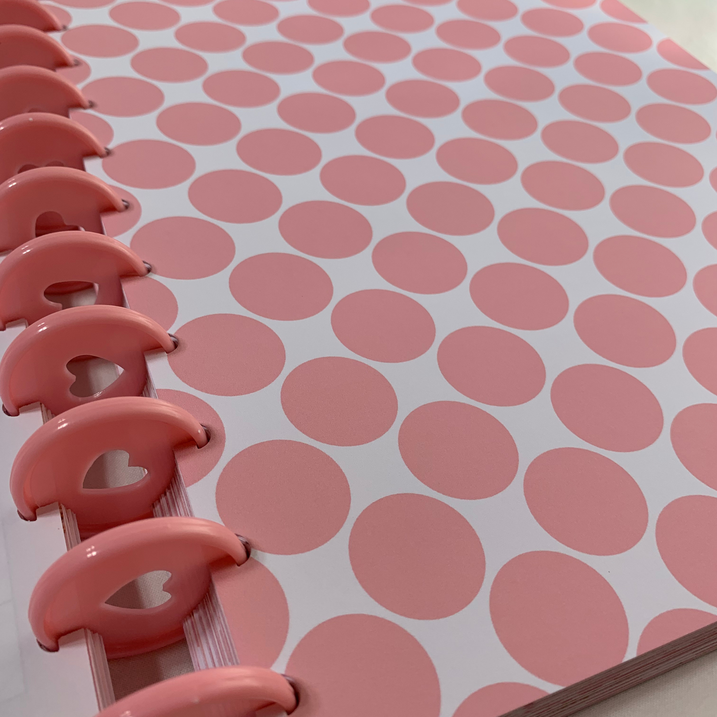Simple Chic and Pink Budget Planner for Beginners| 12 Month Undated Discbound Budget Planner