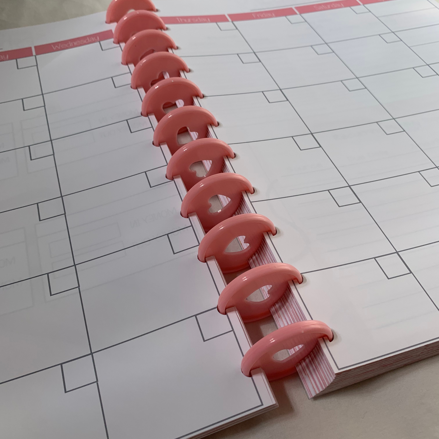 Simple Chic and Pink Budget Planner for Beginners| 12 Month Undated Discbound Budget Planner
