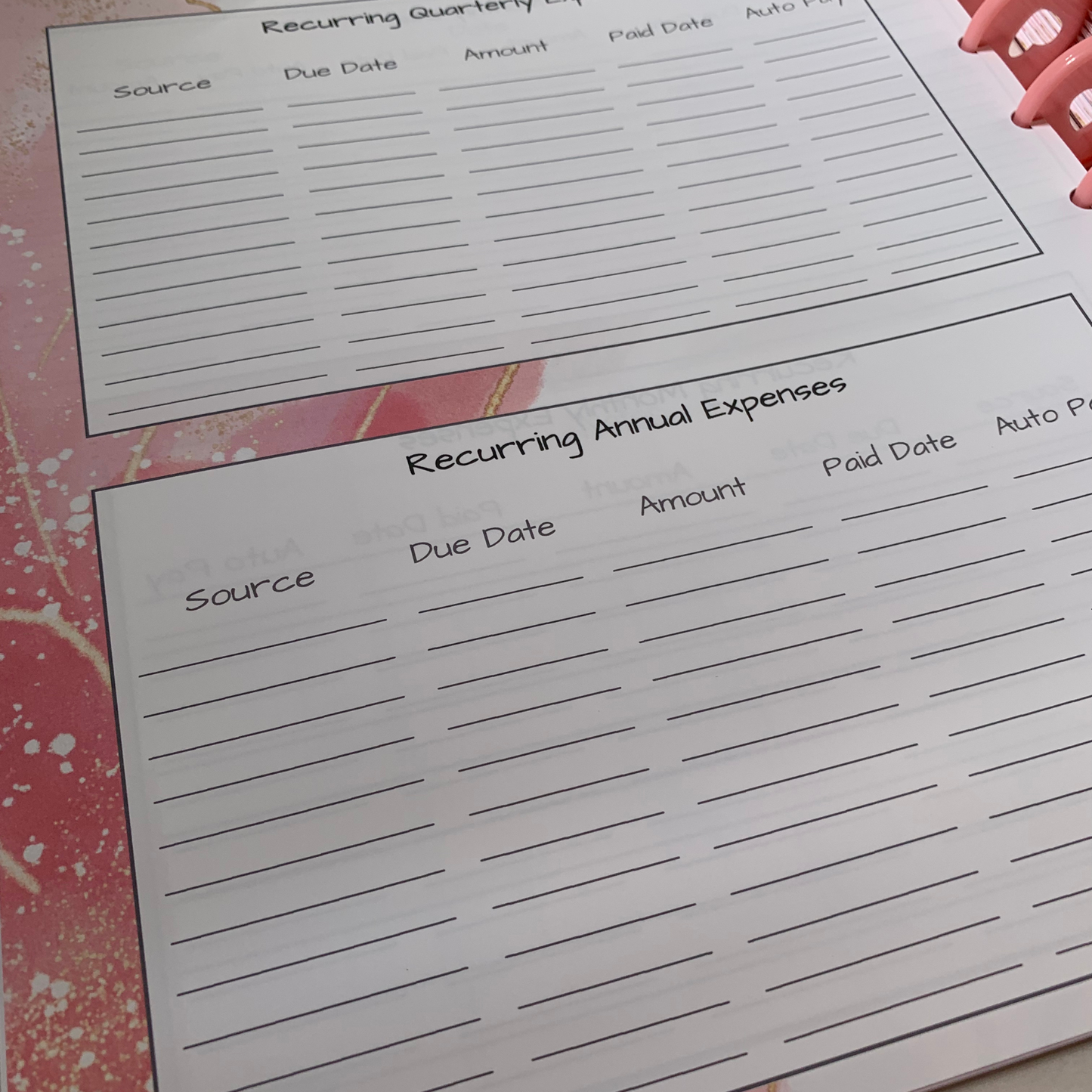 Simple Chic and Pink Budget Planner for Beginners| 12 Month Undated Discbound Budget Planner