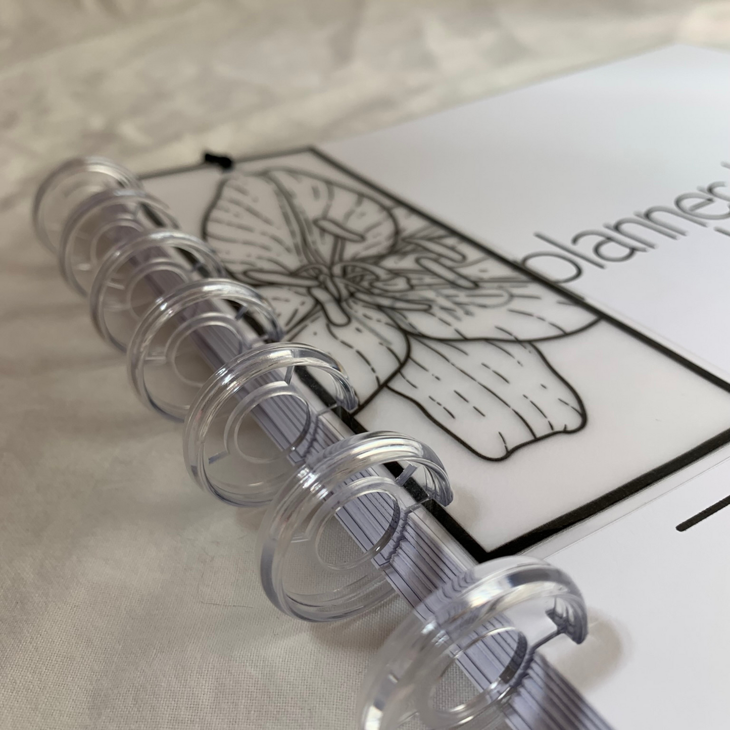Discbound Budget Planner for Beginners| Undated Minimalist Six Month Budget Planner (ZW)
