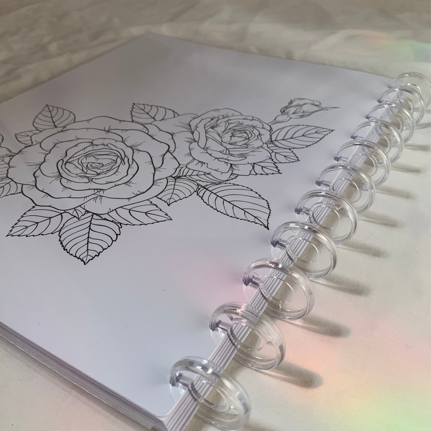 Discbound Budget Planner for Beginners| Undated Minimalist Six Month Budget Planner (ZW)