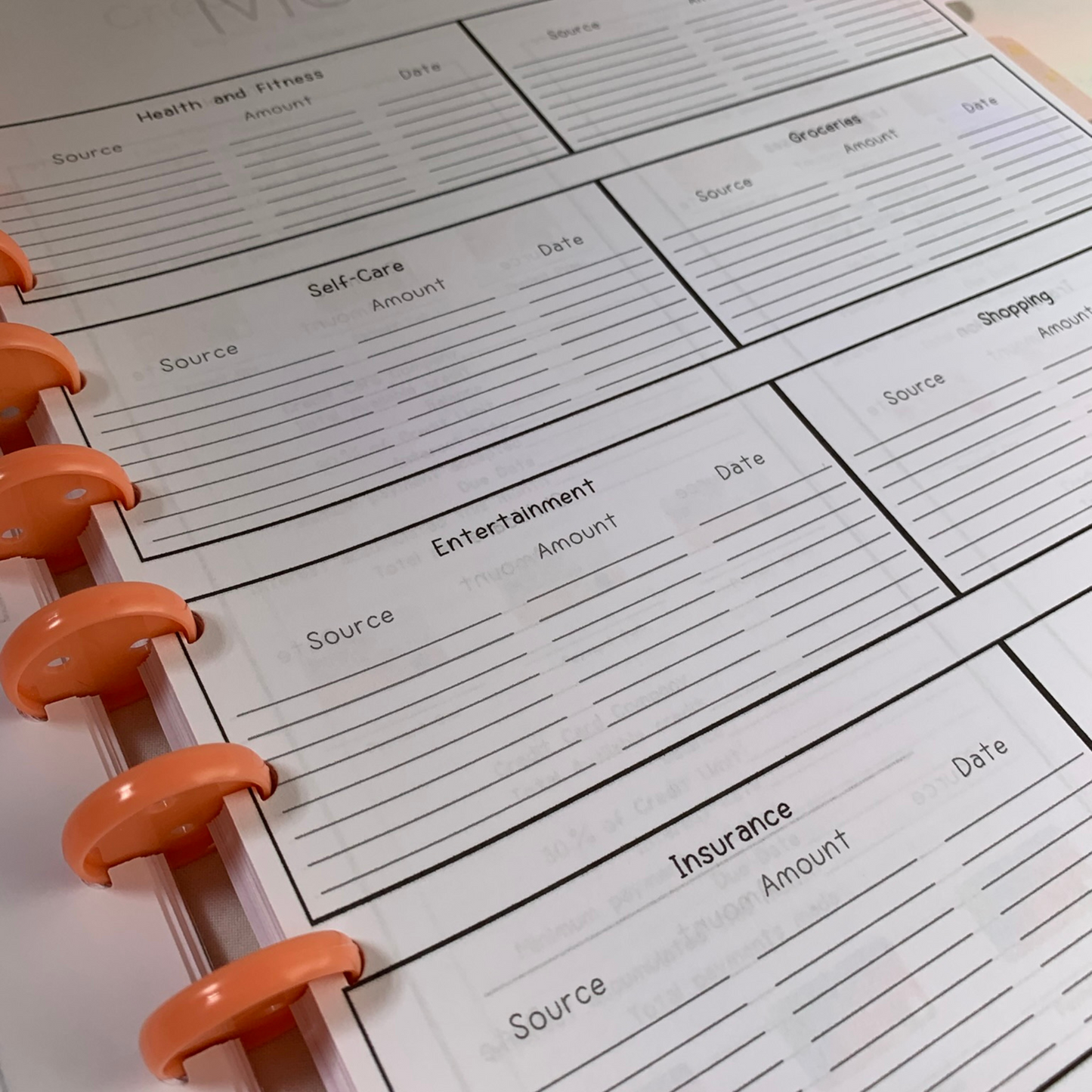 Six Month Discbound Budget Planner for Black Women (ZW)