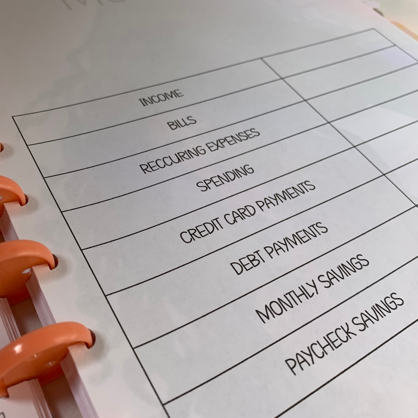 Six Month Discbound Budget Planner for Black Women (ZW)