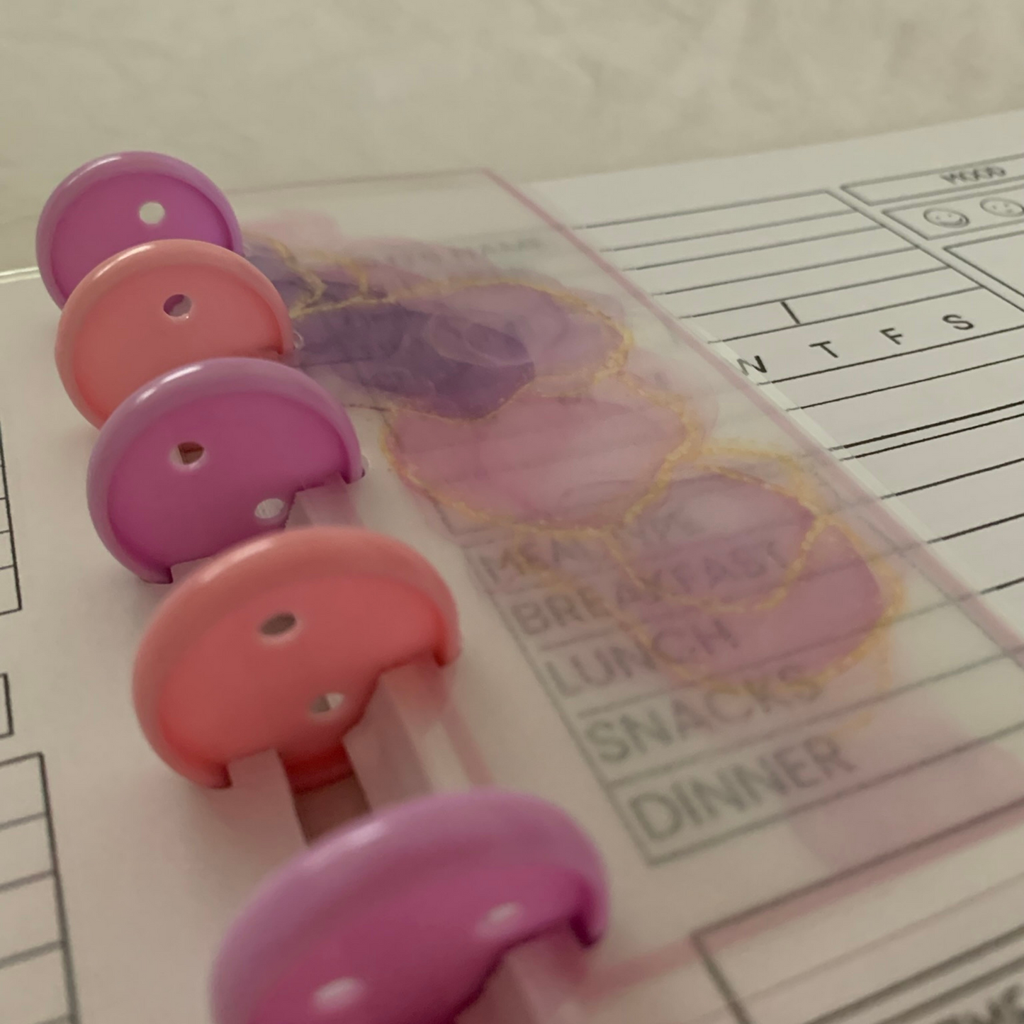 Childcare Logbook (pink and purple discs)